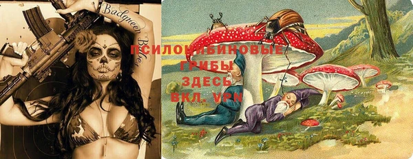 кристаллы Гусев