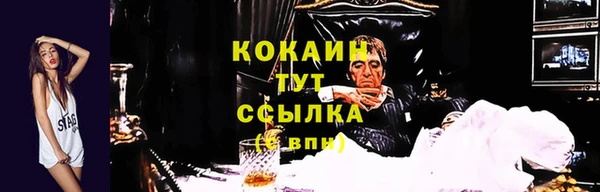 кристаллы Гусев