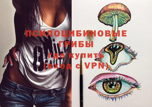 СК Гусь-Хрустальный