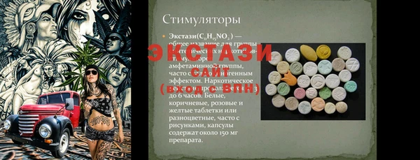 СК Гусь-Хрустальный