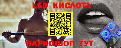гидра Заводоуковск