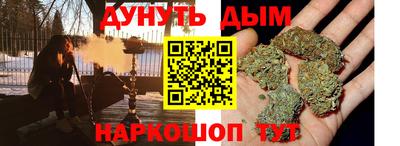 гидра Заводоуковск