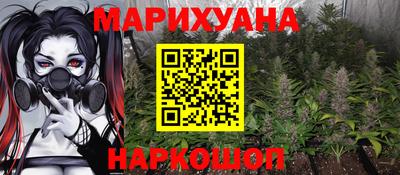 гидра Заводоуковск