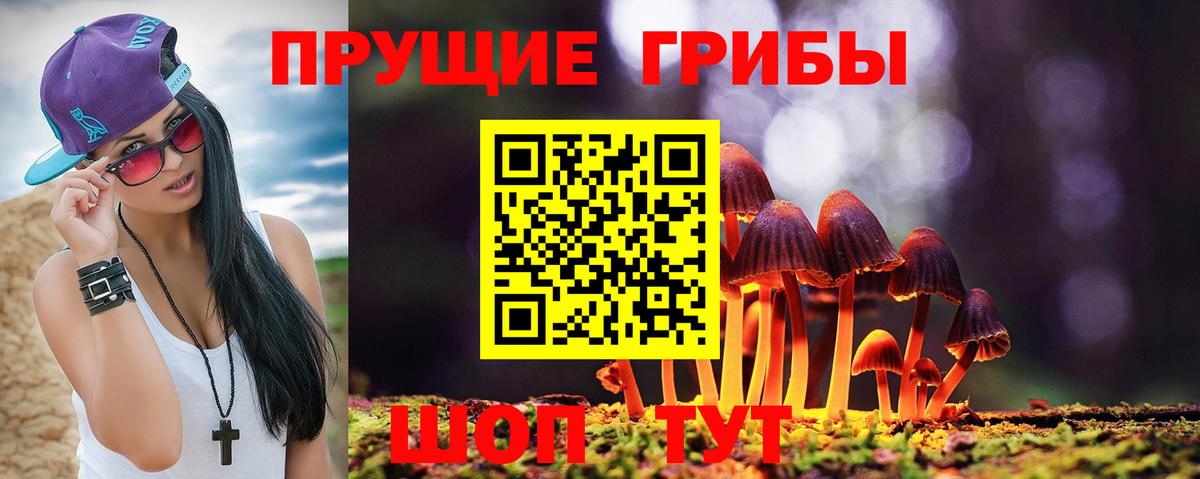 Галлюциногенные грибы Cubensis Обь