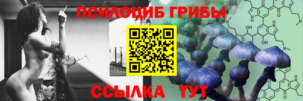 Галлюциногенные грибы MAGIC MUSHROOMS  Вход с VPN  Обь 
